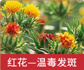 红花